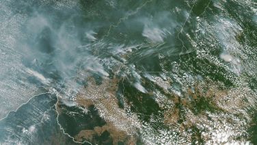 Peparu dunia sedang dibakar